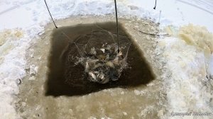 Рыбачу на Паук. Лучшая Зимняя Рыбалка 2026. Русская Рыбалка Онлайн. Жирный Улов. Смотреть на RUTUBE