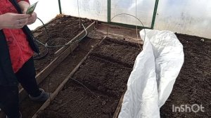 //184// Начало первых посевов в теплице.Безжалостно удалила лишние томаты.