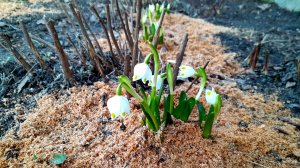 МИШАНЯ 🐕 ЗАНИМАЮСЬ ДЕЛАМИ НА УЛИЦЕ🌾🪻🌾( часть 2)