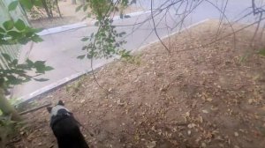 ПРОВЕРИЛА ВСЕ ДЫРОЧКИ И УШЛИ В ЗАГУЛ | ГОТОВИМСЯ К ЗИМОВКЕ | ОСТАНОВИТЕ МАМУ