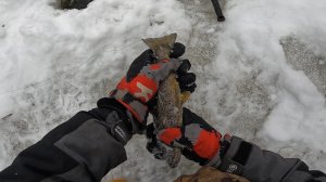 ЛОВЛЮ ФОРЕЛЬ НА ЗАКИДУШКИ В МИКРО РЕЧКЕ