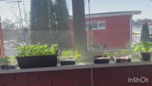 жизнь здесь и сейчас ❤️❤️❤️ИСПРАВЛЯТЬ, А НЕ МАСКИРОВАТЬ ☝️💯✅