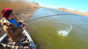 ВОТ ЭТО РЫБАЛКА НА САЗАНА С ЖЕНОЙ! РЫБЫ МНОГО! НУ, НАЧАЛОСЬ! Первая рыбалка на сазана