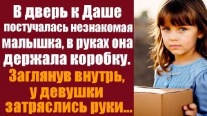 В дверь к Даше постучалась незнакомая малышка, в руках она держала коробку, заглянув внутрь...