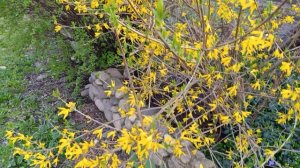 Весна и малыш 👶