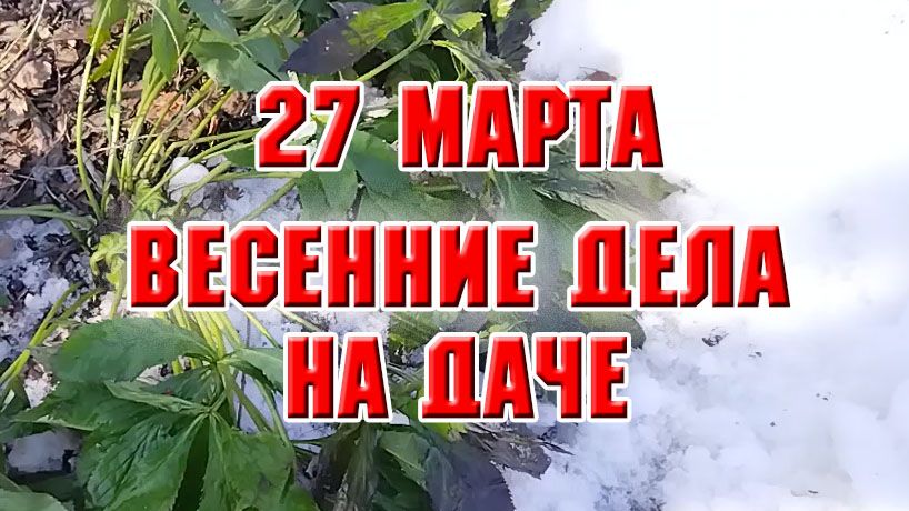 27 марта. Весенние дела на даче
