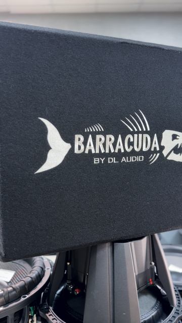 Плоский саб + пятнадцатый = DL Barracuda