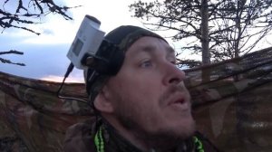 Охота на гуся на болоте  / Жареные потрошки