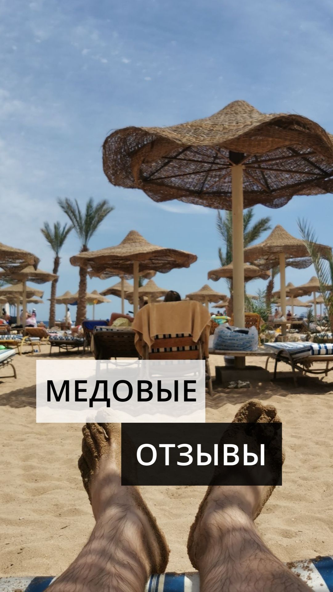 МЕДОВЫЕ ОТЗЫВЫ!