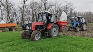 Вторая подкормка пшеницы озимой.