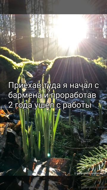 Pisatel - Отрывок из нового произведения!