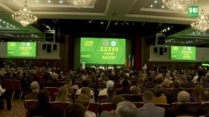 Фейки, дешёвое мясо и риск заражения: как не попасть в ловушку эпидемии | 7 дней