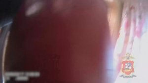 В Подмосковье полицейские спасли на пожаре девочку и помогли жильцам вынести вещи из горящего дома