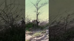 Кипарисовое озеро Сукко 29 Марта 2026. Солнечные выходные много перемен. Репортаж Светланы Тихоновны