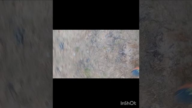 тренировка паркура