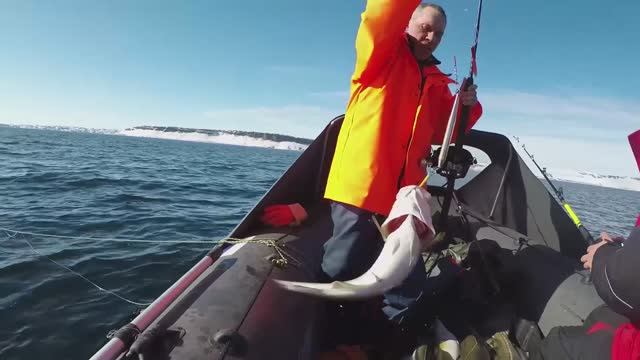 Рыбалка на Баренцевом море _ вкуснющие большие  рыбины)))