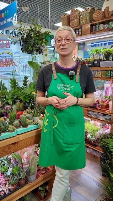 Смешные названия растений.