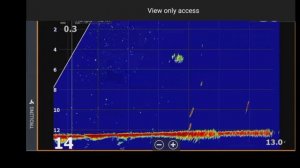 Иваньковское вдхр 06.2025. Пелагическая рыбалка с Active Target.
