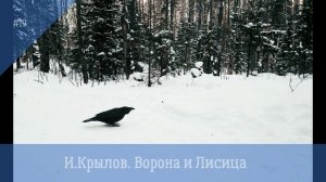 И.Крылов. Ворона и Лисица. Басня