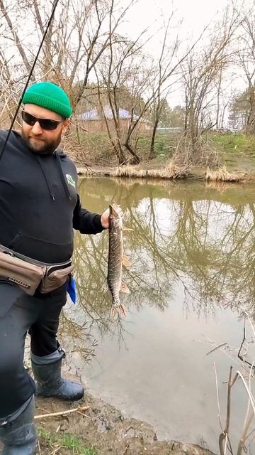 Поймал-отпустил! Весенняя Щука. #микроджиг #фишмир #спиннинг