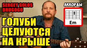 ГОЛУБИ ЦЕЛУЮТСЯ НА КРЫШЕ - Sergey Golos Drugogo (АККОРДЫ БЕЗ БАРРЭ, ТЕКСТ) ПРОСТАЯ ПЕСНЯ НА ГИТАРЕ