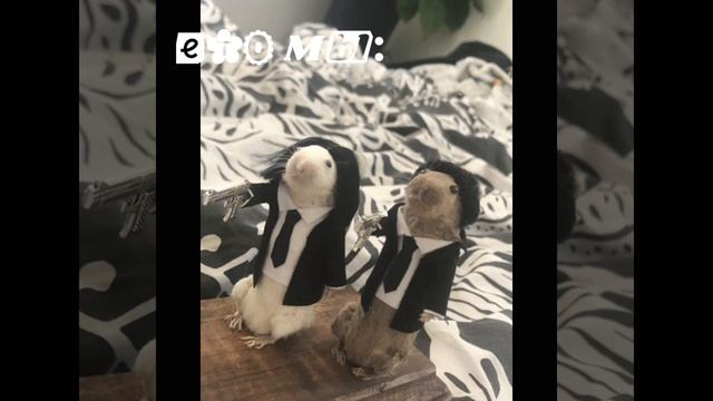 какишу посвещается😎