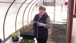 Сад-пакчазе-влаклан ялозанлык шанче кандидат Эльвира Пирогова деч ой-каҥаш-влак