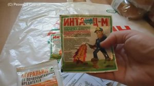 Обзор покупок АШАН Что купил 22.03.2017