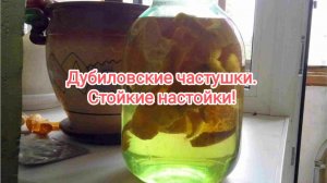 Дубиловские частушки. Стойкие настойки.