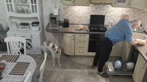 Игорек хозяйничает на кухне. 31 марта. #модницаогородница #оляигорек #домвснт #переездизмосквывснт