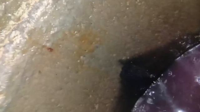 Д. Овсяникова. Чистка колодца. Профилактика колодца. Podkapaev.ru