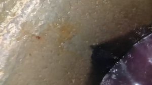 Д. Овсяникова. Чистка колодца. Профилактика колодца. podkapaev.ru