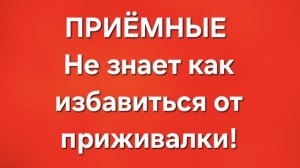 Приёмные/В последних сериях.