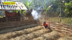 Дорис строит дом. Эпизод 7 (115-119)