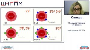 Множественный аллелизм