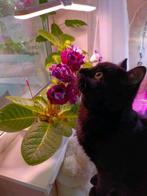 поговорим и познакомимся? 🤗