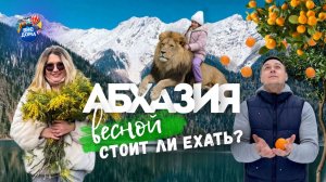 Реально ли отдохнуть в Абхазии на 15000р? Абхазия 2026. Новый Афон. Озеро Рица. Новоафонская пещера.