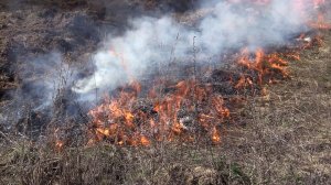 Начало пожароопасного сезона