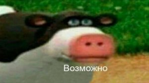 моё самое странное прохождение ( я не мог это не выложить )