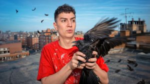 ГЛЕНТ ЗАТРОЛИЛ ЛЮДЕЙ В BIRD SIMULATOR! ОБГАДИЛ ВСЕХ #глент