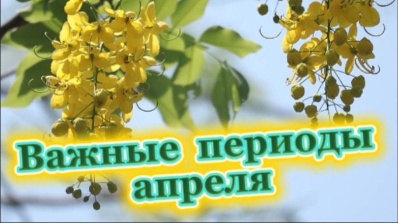 Важные периоды апреля 2026 года!