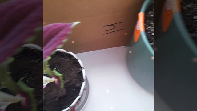 💢💢💢💥КРАСОТА💢💢💢💥