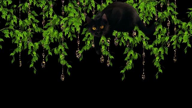 Колокольчики и шелест листьев