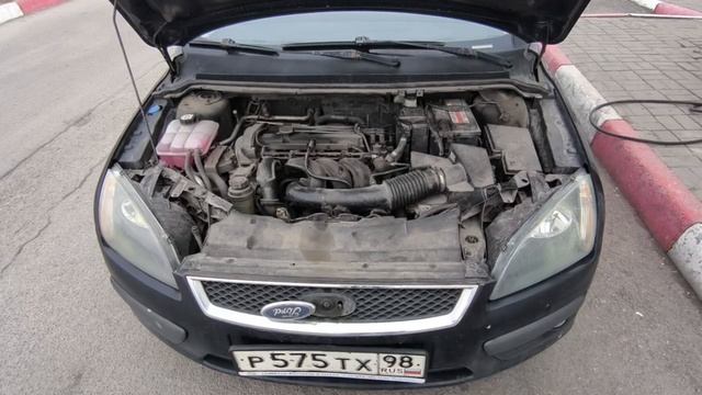 video5359366539634055809