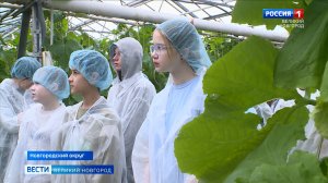 ГТРК СЛАВИЯ Новгородский округ "Трубичино" агрокласс 31.03.26