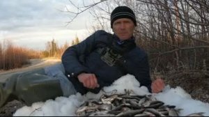 КАК ПОЙМАТЬ ЕЛЬЦА ВЕСНОЙ НА УДОЧКУ___большая вода