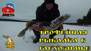 ✔Трофейная рыбалка на жерлицы в глухозимье.Оставил жерлицы в ночь на озере.Рыбалка в Тверской област