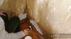 Ремонт комнаты продолжается / Нашествие муравьёв в теплице.