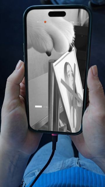 КАКОЙ ХИТРЫЙ МЕДВЕДЬ♥️