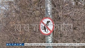 Житель Арзамаса несколько раз ударил ножом прохожего за выброшенный на тротуар фантик от конфеты